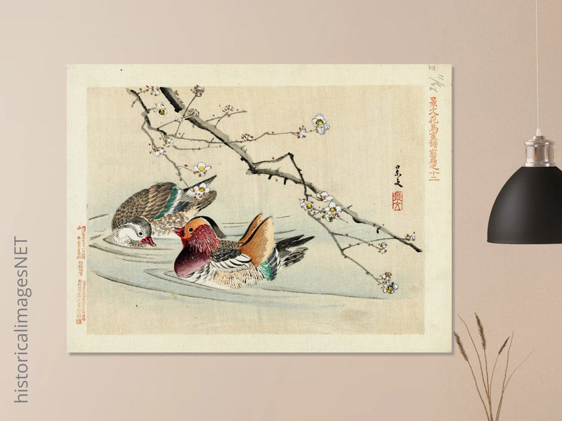 Two ducks by Matsumura Keibun, 1892.