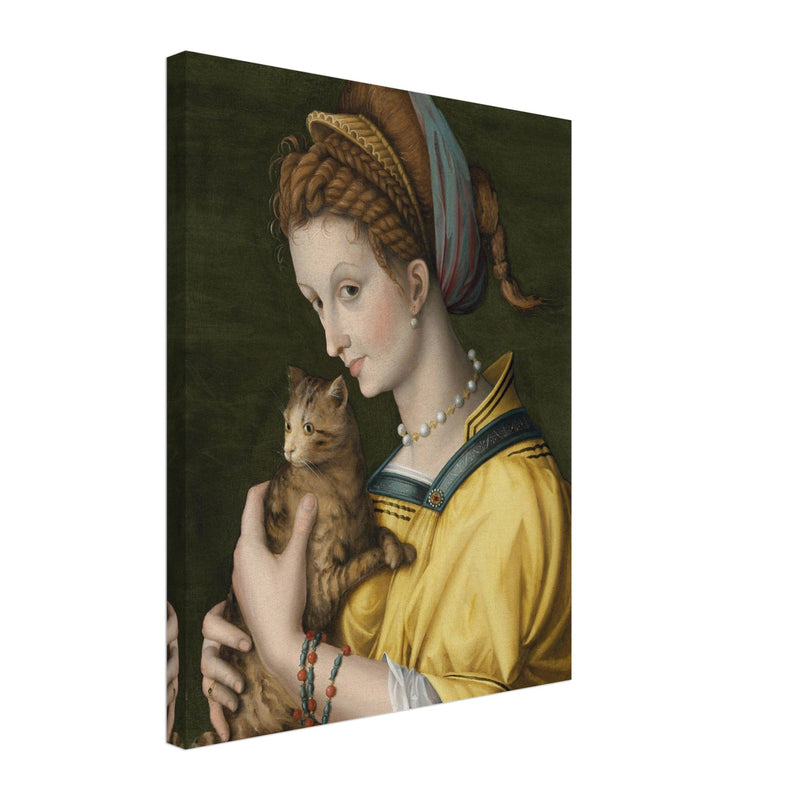Portrait of a young lady holding a cat by Antonio d'Ubertino Verdi, Bachiacca