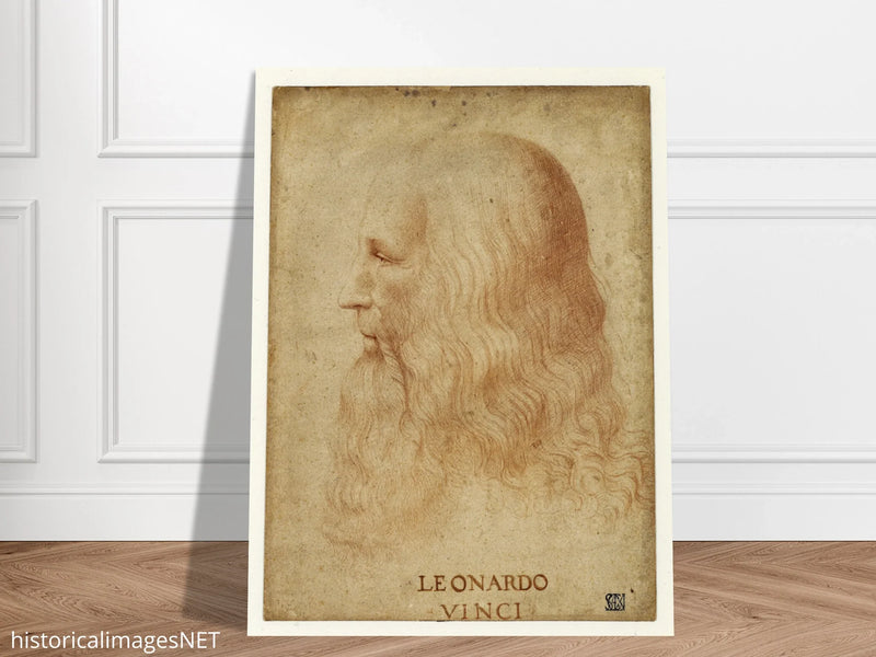 Portrait of Leonardo da Vinci by anonimous artist 1510-1530 .