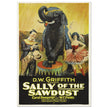 Sally of the Sawdust by D.W Griffith movie poster.