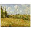 A Rye Field, Hill of Gratte Coqs Pontoise by Camille Pissarro 1877.