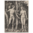 Adam and Eve by Albrecht Dürer