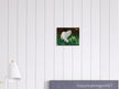 White Cat and Butterflies old painting by Arthur Heyer .