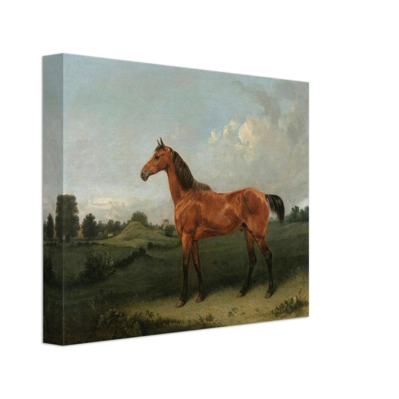 A Bay Horse in a Field by Edmund Bristow old painting 1825.