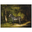 Zebra animal painting by George Stubbs.
