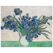 Irises by Vincent Van Gogh