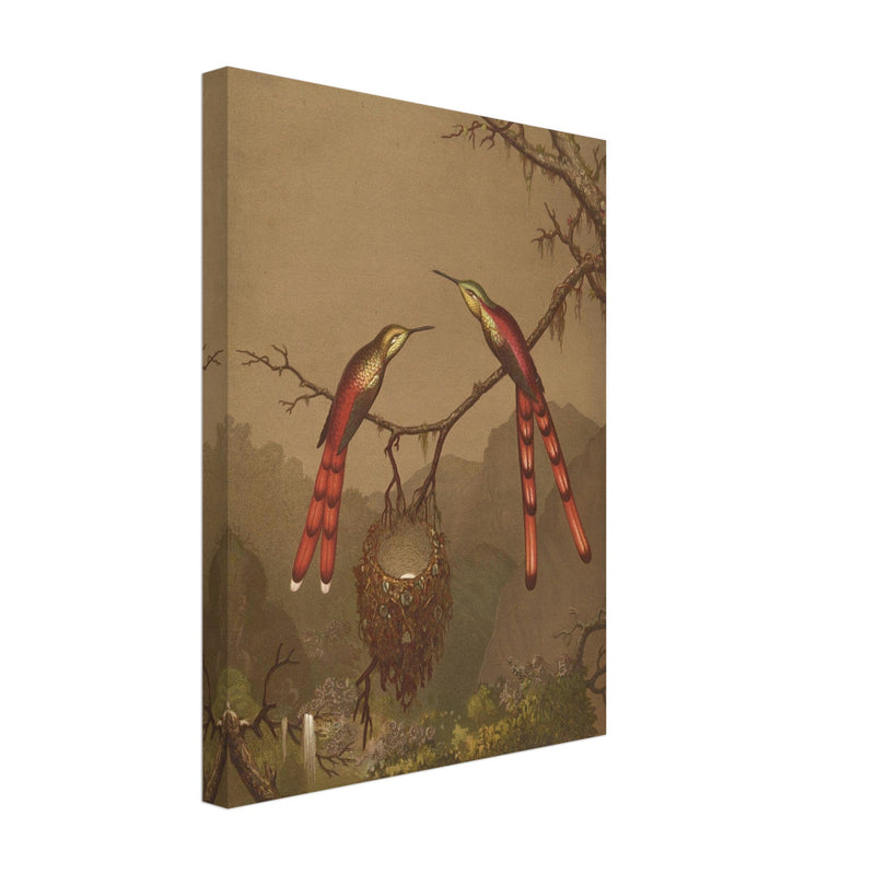 Brazilian Hummingbirds I by Martin Johnson Heade