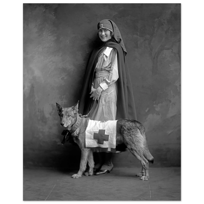Red Cross nurse with dog poster reproduction by Harris & Ewing 1915-1918