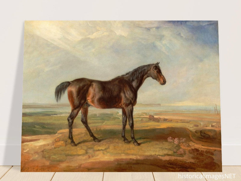 Old painting of brown horse by James Ward 1820.