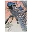 Two peacocks on tree branch by Ohara Koson