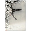 Two white-fronted geese in a snowy landscape by Ohara Koson.