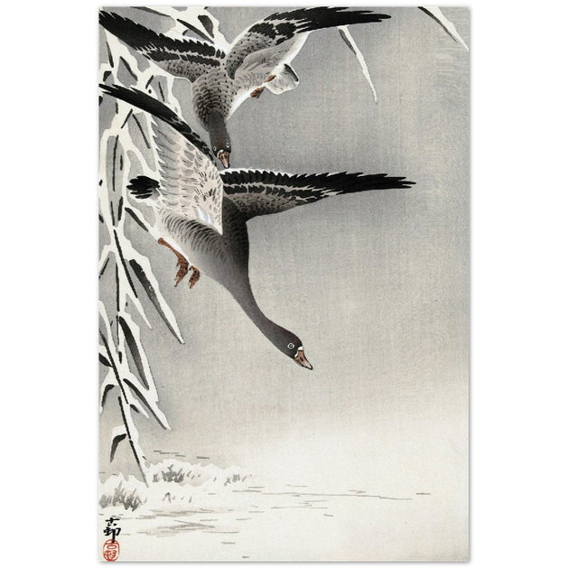 Two white-fronted geese in a snowy landscape by Ohara Koson.