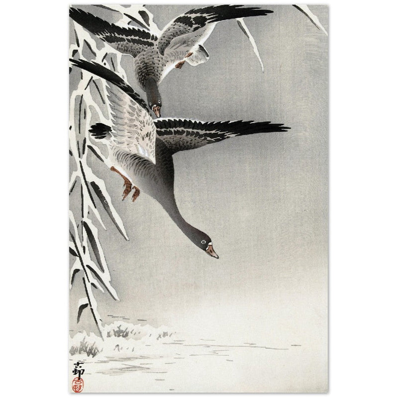 Two white-fronted geese in a snowy landscape by Ohara Koson.