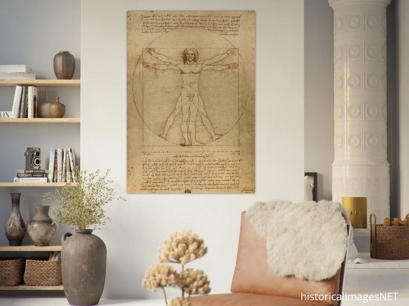 Leonardo da Vinci Vitruvian Man drawing  .