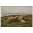Sheep by the Sea by Rosa Bonheur.