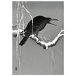 Crow on snowy tree branch by Ohara Koson, ,