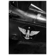 Eagle emblem on airplane Vintage aircraft old photograph reproduction