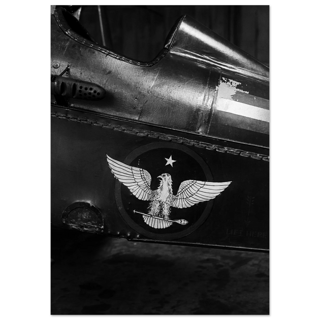 Eagle emblem on airplane Vintage aircraft old photograph reproduction