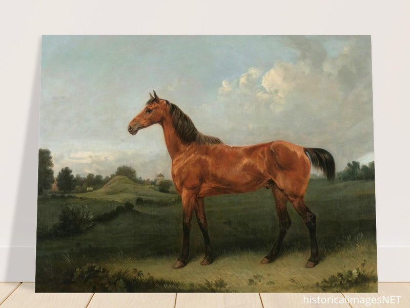 A Bay Horse in a Field by Edmund Bristow old painting 1825.