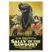 Sally of the Sawdust by D.W Griffith movie poster.