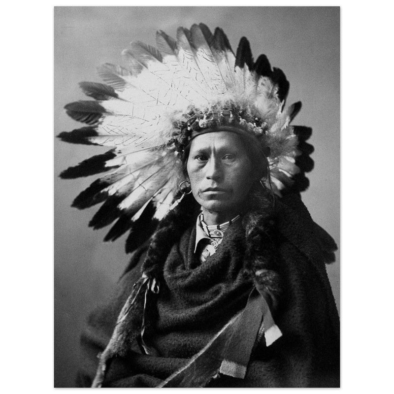 James A. Garfield, Chief of Apaches. Black and white portrair  of a native american leader