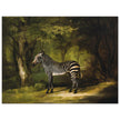 Zebra animal painting by George Stubbs.