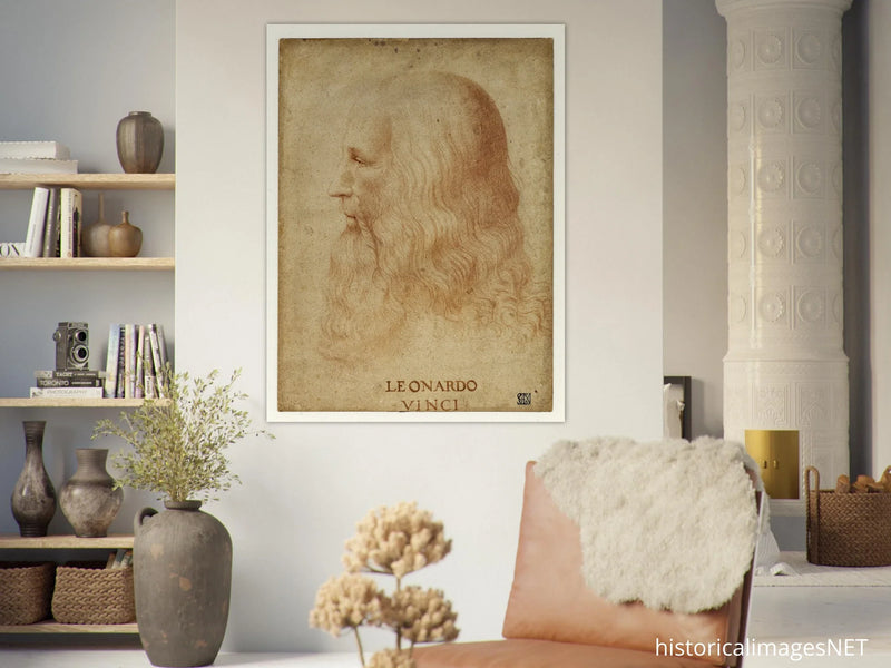 Portrait of Leonardo da Vinci by anonimous artist 1510-1530 .