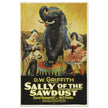 Sally of the Sawdust by D.W Griffith movie poster.