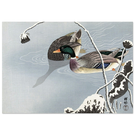 Two Mallards near a Snow-Covered Lotus by Ohara Koson