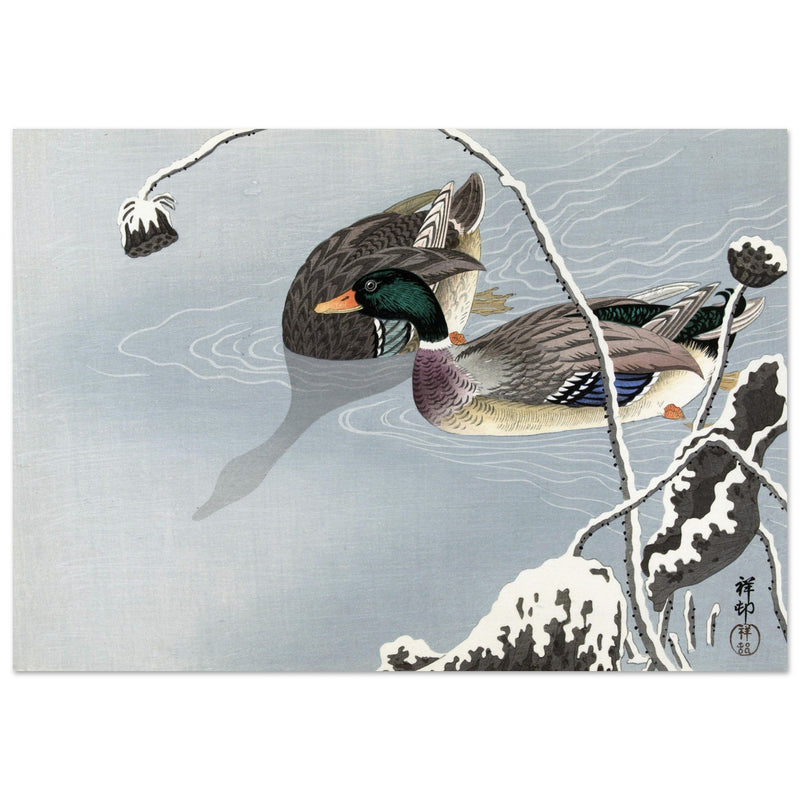 Two Mallards near a Snow-Covered Lotus by Ohara Koson