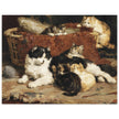 Bonne Mere a cat and her kittens by Charles van der Eycken
