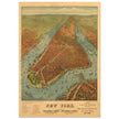 New York City vintage historic aerial view. Antique print  of Manhattan and the Hudson and East river.