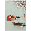 Mandarin ducks by Ohara Koson