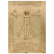 Leonardo da Vinci Vitruvian Man drawing  .