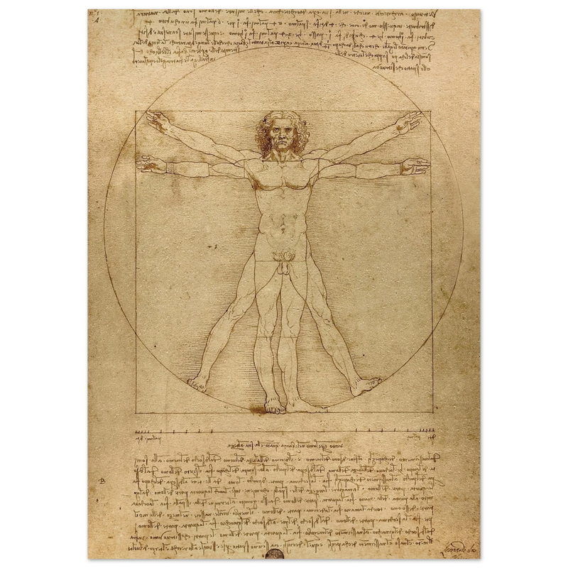Leonardo da Vinci Vitruvian Man drawing  .