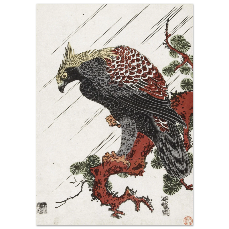 Eagle on pine branch in rain, by Isoda Koryusai