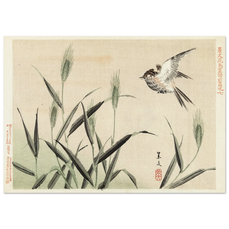 Bird flying among grasses by Matsumura Keibun, 1892.