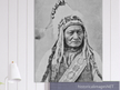 Sitting Bull native american leader.