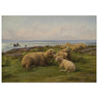 Sheep by the Sea by Rosa Bonheur.