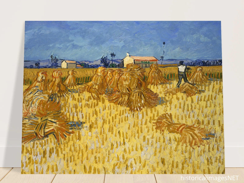 Corn Harvest in Provence by Vincent Van Gogh