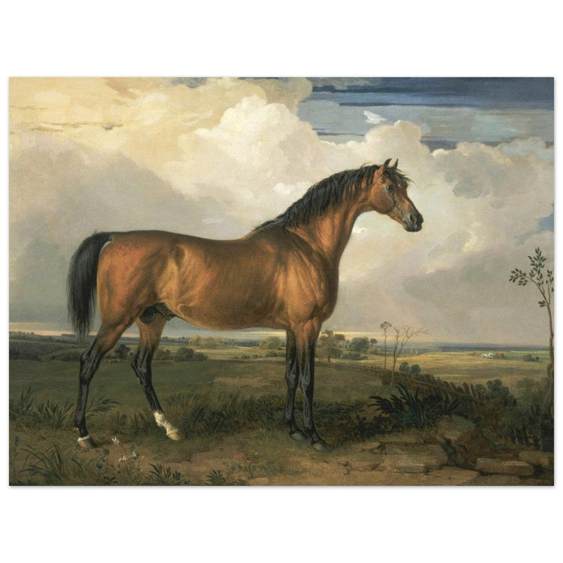 Old painting of a brown horse. Eagle, a Celebrated Stallion by James Ward 1809.
