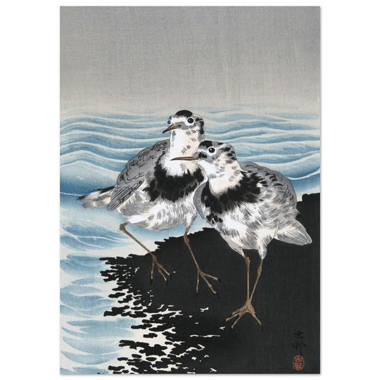 Great knot sandpipers by Ohara Koson woodblock print reproduction
