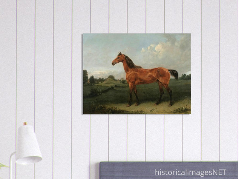 A Bay Horse in a Field by Edmund Bristow old painting 1825.