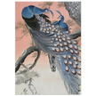 Two peacocks on tree branch by Ohara Koson