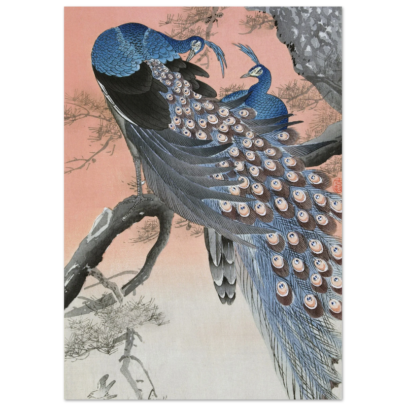 Two peacocks on tree branch by Ohara Koson