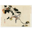 Bird and persimmon by Matsumura Keibun, 1892.
