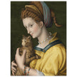 Portrait of a young lady holding a cat by Antonio d'Ubertino Verdi, Bachiacca