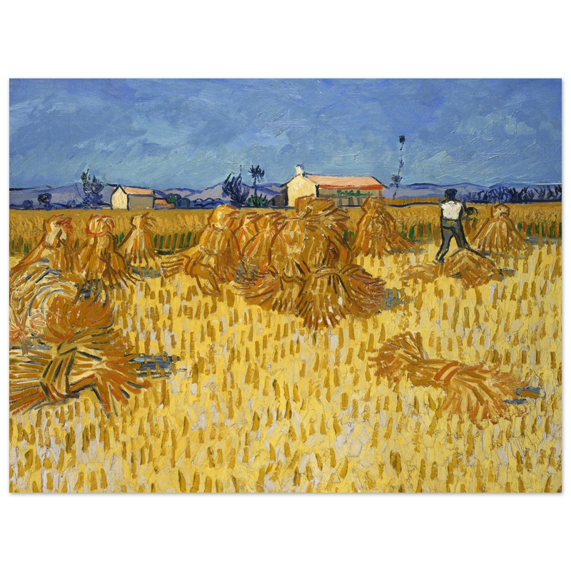 Corn Harvest in Provence by Vincent Van Gogh