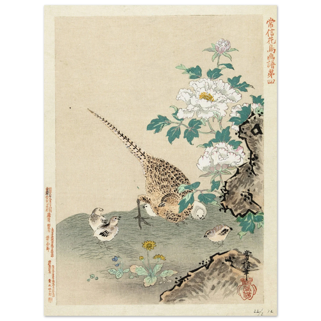 Quail with chicks by Kano Tsunenobu, 1893.