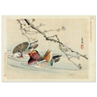Two ducks by Matsumura Keibun, 1892.